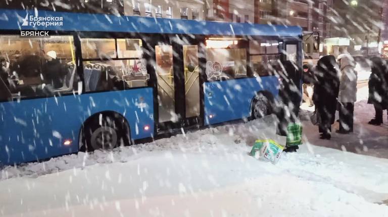 МЧС предупредило брянцев о мокром снеге 1 февраля