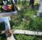 В Клинцах рухнувшее дерево повредило надгробия на кладбище