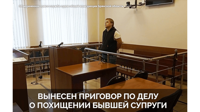 Брянца осудили на 6 лет за похищение и избиение жены