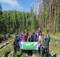 В Выгоничском лесничестве Брянской области высадили две тысячи сосен
