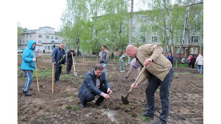 В Жуковке на больничном пустыре разбили «Сад памяти»