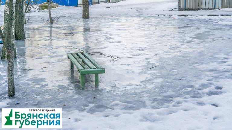 То лёд, то лужи: в Брянске некоторые детские площадки оказались неприступными