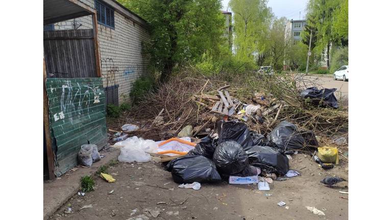 Брянцы пожаловались на свалку мусора в центре Брянска