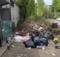 Брянцы пожаловались на свалку мусора в центре Брянска
