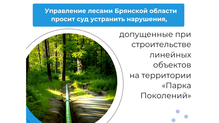 Брянский суд рассмотрит дело о нарушениях при возведении объектов в «Парке Поколений»