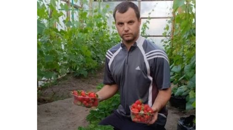 Житель Климовского района поделился секретом высокого урожая клубники