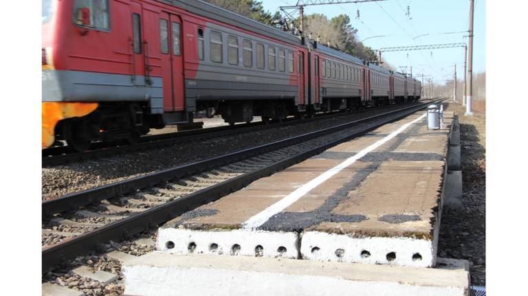 Поезд «Брянск — Санкт-Петербург» задержался из-за наезда на дерево