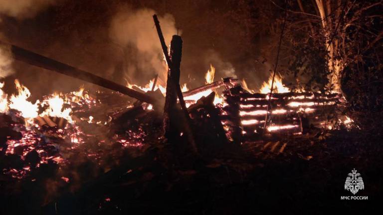 В Мглинском районе в огне погибла хозяйка дома