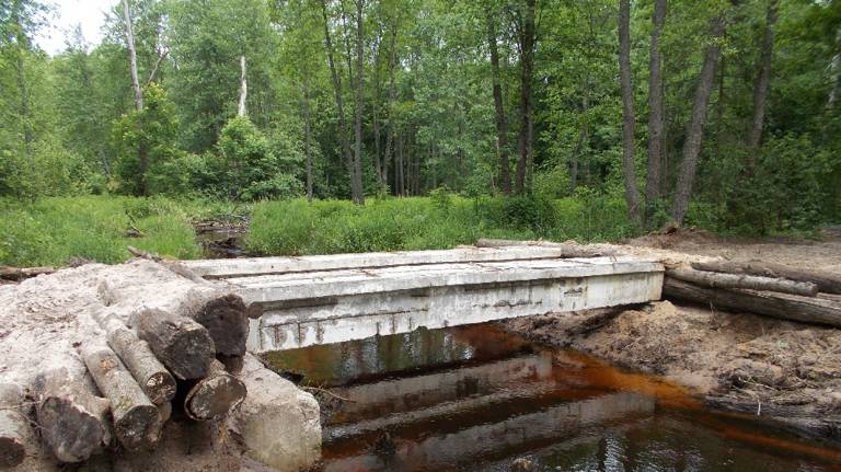 В Стяжновском участковом лесничестве Брянской области строят мост