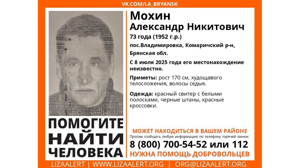 В Брянской области пропал 73-летний Александр Мохин