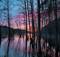 Брянцам показали фантастические краски заката над лесом