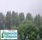 В Брянской области 5 июля ожидаются дожди с грозой и градом