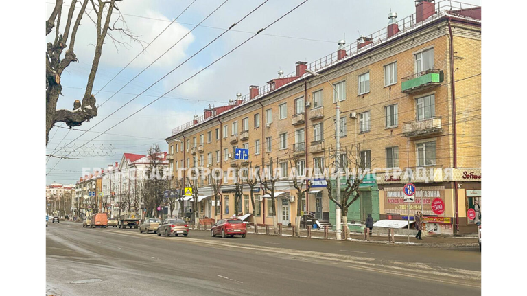 В Брянске с начала года кронировали более 700 деревьев