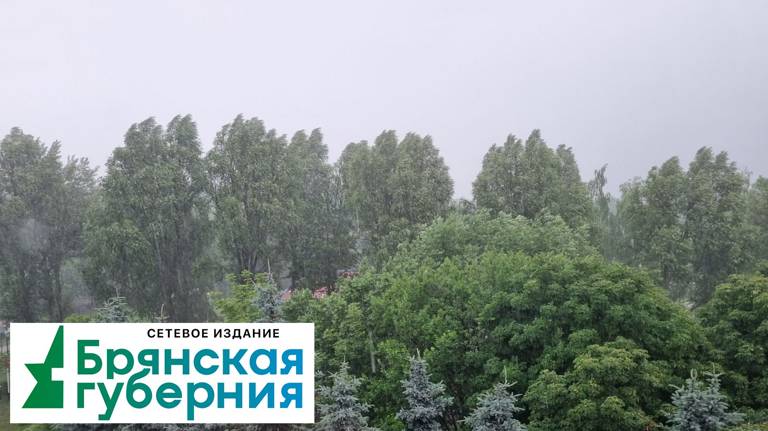 На Брянск и районы области обрушился ливень местами с грозами