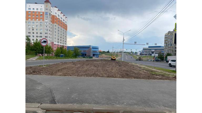 От улицы Романа Брянского до Счастливой в областном центре появится газон