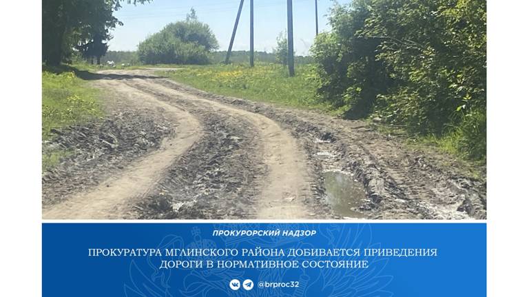 Суд обязал мглинскую администрацию привести в порядок дорогу в селе Новая Романовка