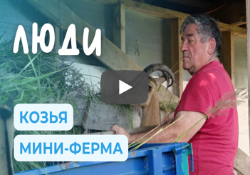 Домашняя козья ферма и сыроварение в Выгоничском районе | ЛЮДИ