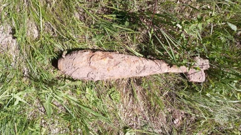 В Дубровском районе в лесу нашли минометную мину