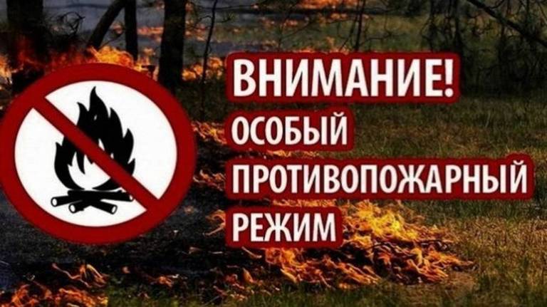 В брянских лесах завершился срок действия особого противопожарного режима