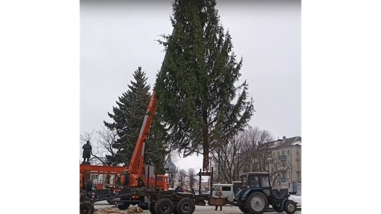 На центральной площади Новозыбкова установили новогоднюю ель