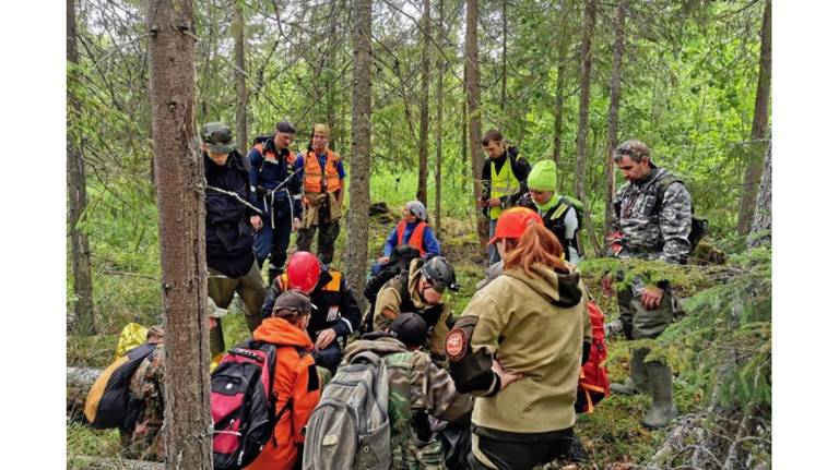 В Брянской области в августе 31 пропавшего нашли живым