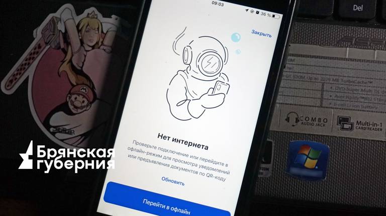 Жители Брянской области не могут войти в «Госуслуги» на смартфонах с iOS