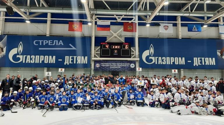 В Брянске состоялся финальный матч первенства области по хоккею