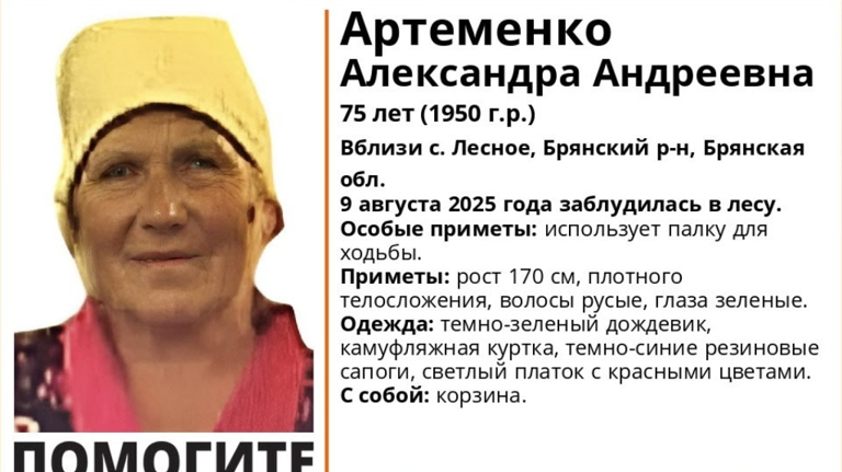 В лесу под Брянском пропала 75-летняя Александра Артеменко