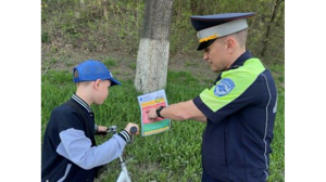В Брянске проходит операция «Внимание – дети!»
