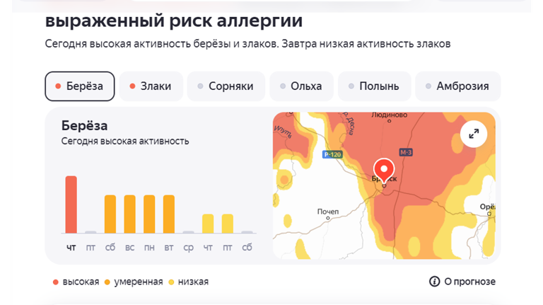 Брянск накрыла волна берёзовой и злаковой пыльцы