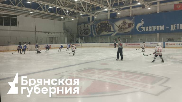 В Брянске прошел финальный матч регионального первенства по хоккею