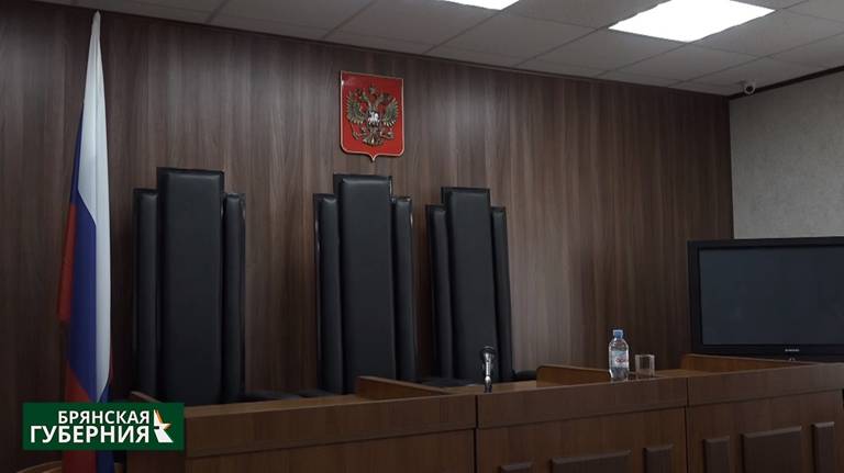 Брянский облсуд не пощадил оскорбившего судью жителя Новозыбкова