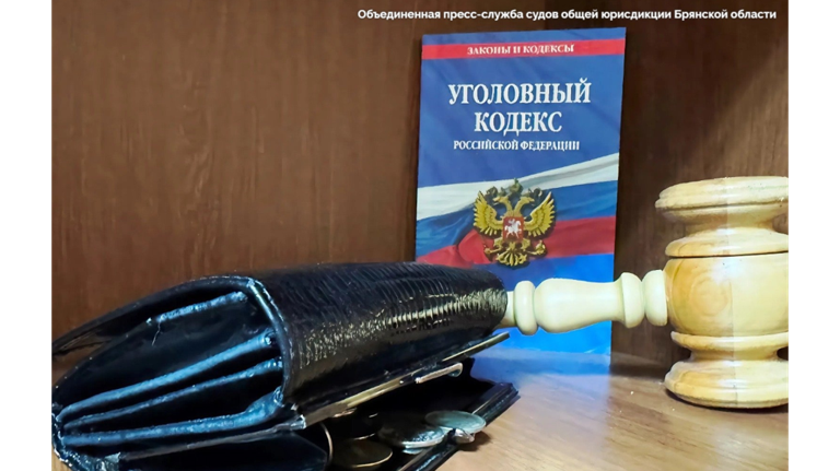 Рязанский лжегазовик обокрал брянскую пенсионерку и получил три года колонии