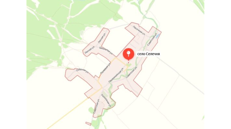Брянскому селу Селечня присвоят звание «Населенный пункт партизанской славы»