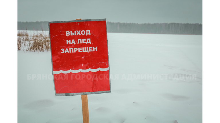 В Брянске не будут оборудовать крещенские купели