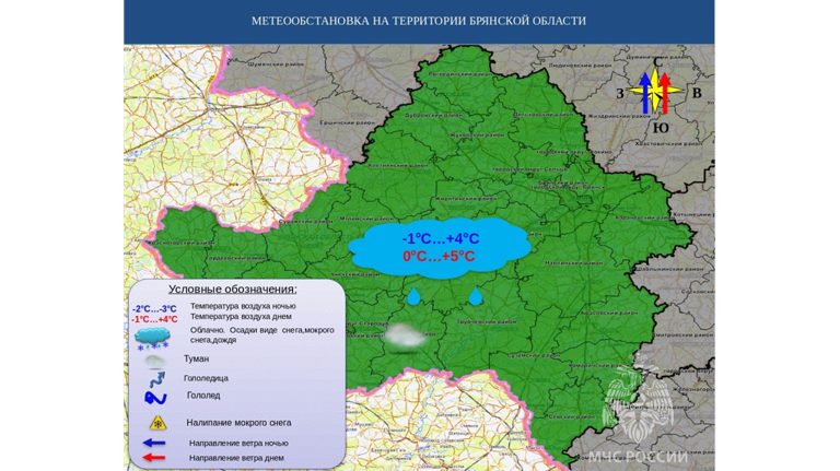 До +5 градусов при южном ветре ждут брянцев 8 января