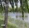 В Брянской области 19 июля ожидаются дожди, грозы и до +30 градусов