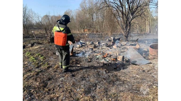 В Брянской области с начала года произошло 180 природных пожаров