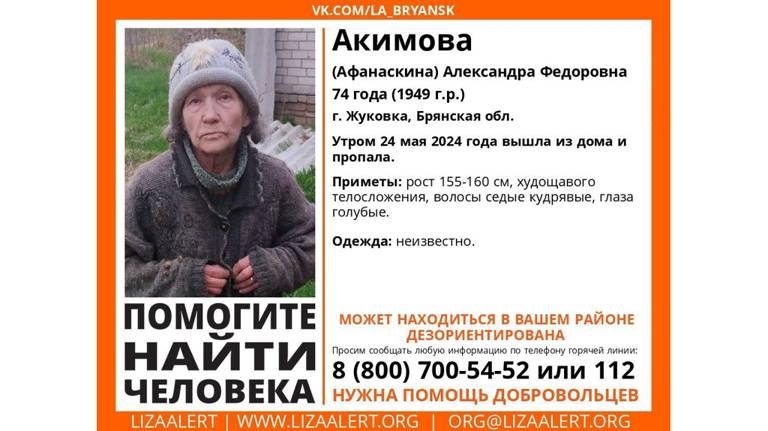 В Брянской области пропала 74-летняя Александра Акимова