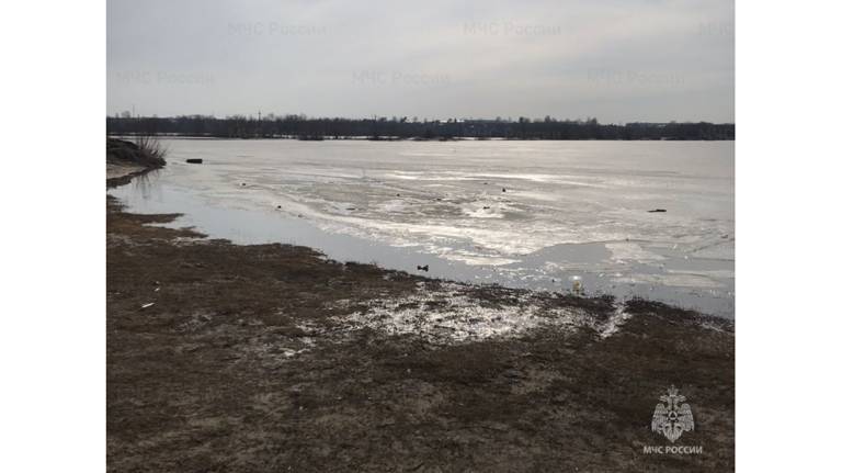 В Брянске из озера Орлик-5 спасли провалившегося под лед мужчину