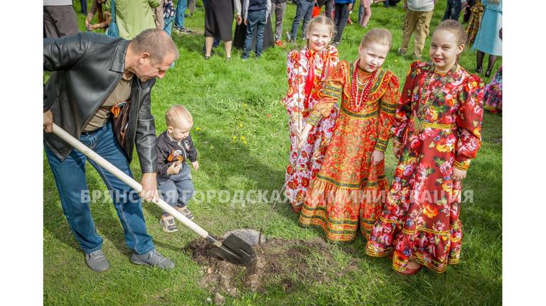 В Брянске на пустыре по улице Котовского появится сквер «Семейный сад»