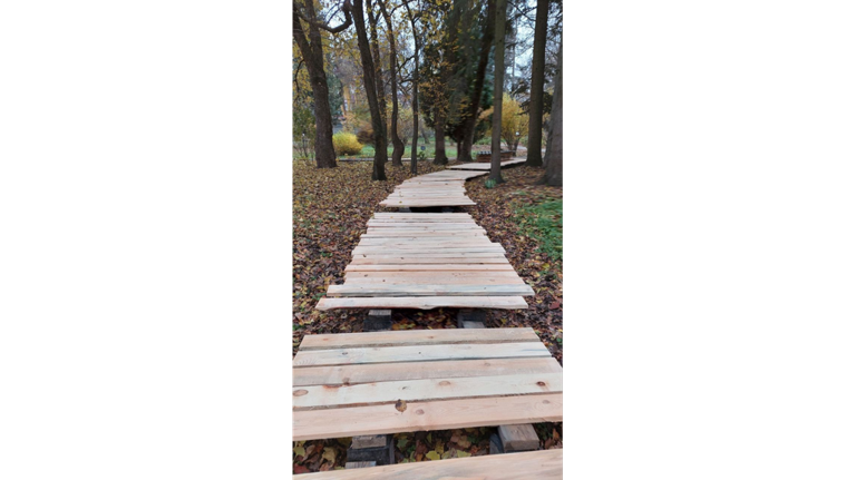 В брянском ботаническом саду появилась Дощатая тропа