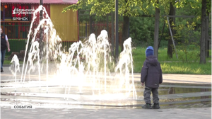 Как отметили День Победы в брянских парках