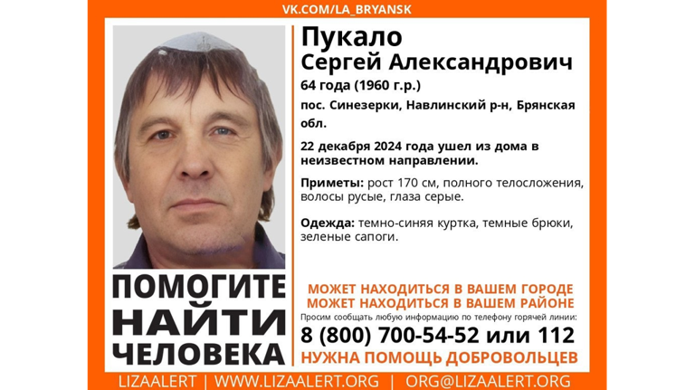 Пропавшего в Брянской области 64-летнего Сергея Пукало нашли живым