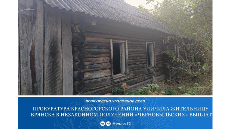Жительницу Брянска уличили в чернобыльской афере на 185 тысяч рублей