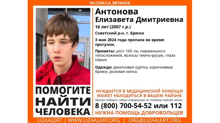 В Брянске во время прогулки пропала 16-летняя Елизавета Антонова
