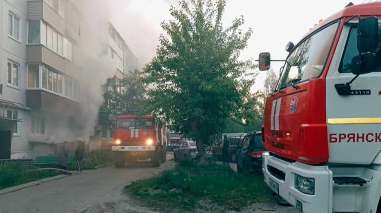 За неделю в Брянской области произошло 80 пожаров