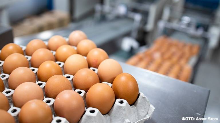 В Минсельхозе России прогнозируют снижение цен на яйца, однако в «Росптицесоюзе» оптимизма не разделяют