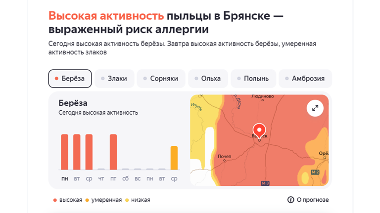 Берёза вновь атакует брянских аллергиков