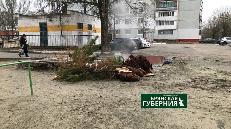 Жителей Брянской области просят правильно утилизировать новогодние ёлки